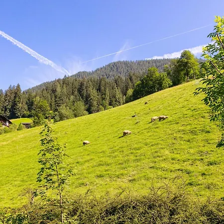 Zellner 7 Alpbach